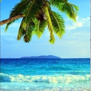 Meet your Posher, Greg